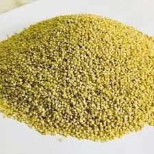 Unpolished browntop millet grains